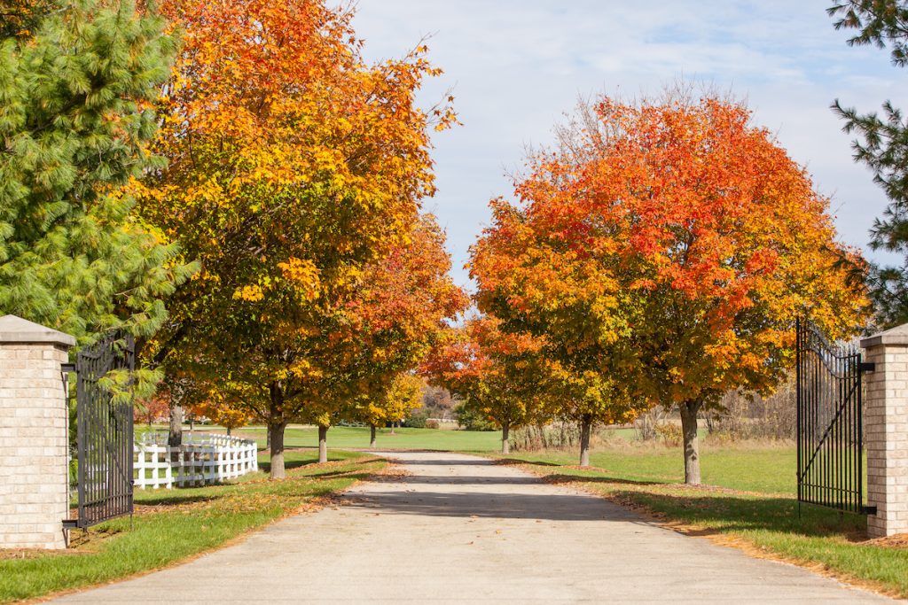 Getting your Driveway Ready for Fall